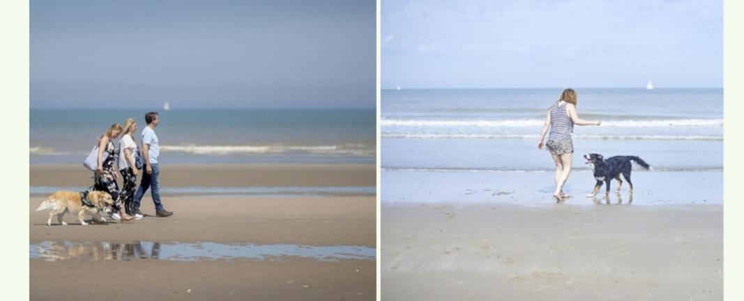 Strandchalet Bredene Ngoại thất bức ảnh
